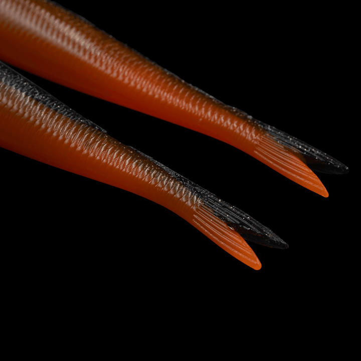 LTD - 8" Baits